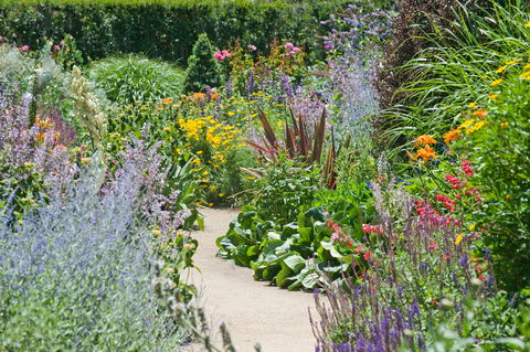 Alowyn Gardens And Nursery - Accommodation Cooktown 2