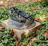 Antony Symons - Retrospective of a Life's Work - Accommodation Cooktown