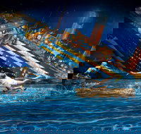 ArtVo Illusions - Accommodation Cooktown