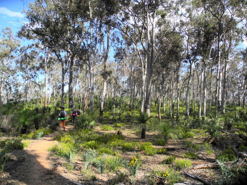 Bibbulmun Track - Accommodation Cooktown 1