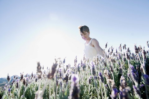 Boonah - Accommodation Cooktown 2