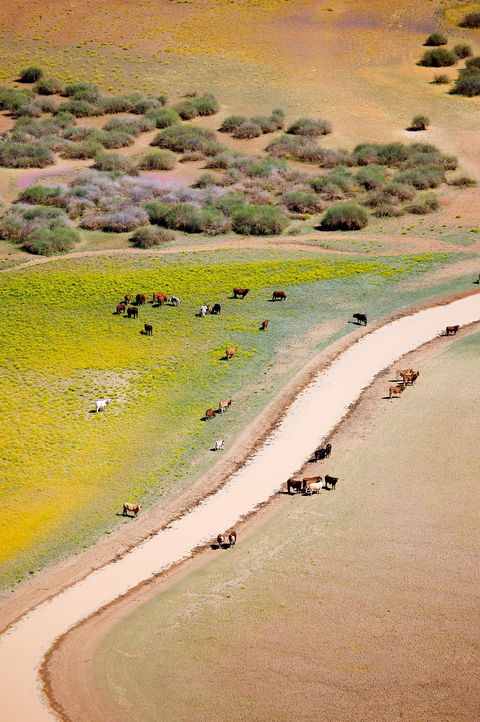 Cuttaburra Crossing - Accommodation Cooktown 1
