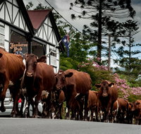 Jamberoo - Accommodation Cooktown