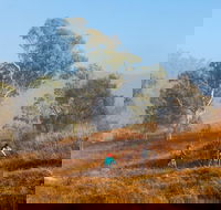 Kambah Pool to Pine Island Walking Trail - Accommodation Cooktown