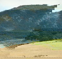 Langi Ghiran State Park - Accommodation Cooktown