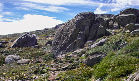 Mount Stillwell Walk - Accommodation Cooktown 0