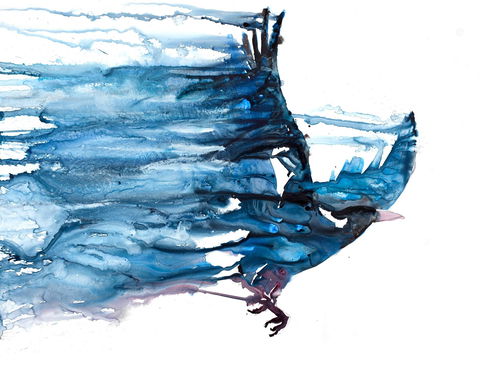 Sluga Gallery - Accommodation Cooktown 1