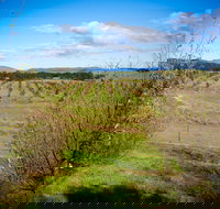 Tarago Truffles - Accommodation Cooktown