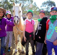 The Saddle Camp - Accommodation Cooktown