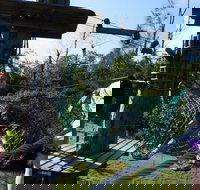 Trees Adventure - Lane Poole Park - Accommodation Cooktown