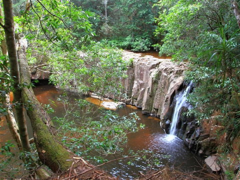 Waitui Falls - Accommodation Cooktown 0