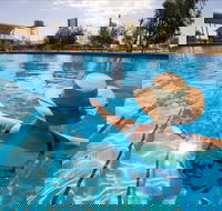 Boulia Sports and Aquatic Centre - Accommodation Cooktown