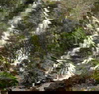Buddong Falls Walking Track - Accommodation Cooktown