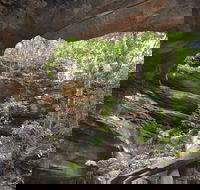 Cave Creek Walking Track - Accommodation Cooktown