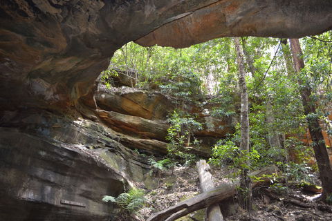 Cave Creek Walking Track - Accommodation Cooktown 0