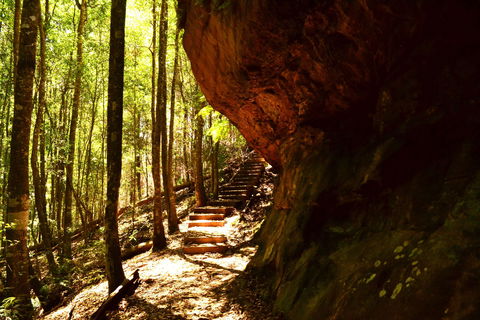 Cave Creek Walking Track - Accommodation Cooktown 1
