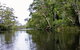 Esk River - thumb 2