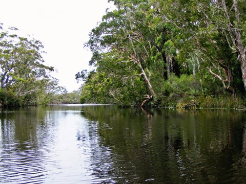Esk River - Accommodation Cooktown 2