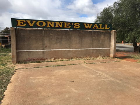Evonne Goolagong-Cawley Wall - Accommodation Cooktown 0