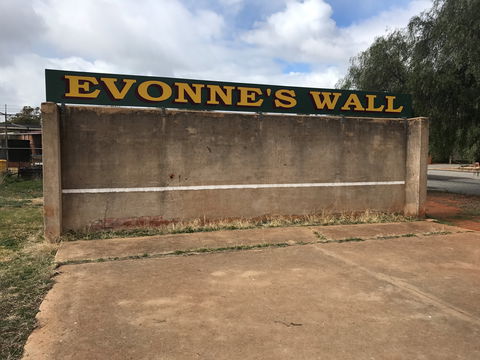 Evonne Goolagong-Cawley Wall - Accommodation Cooktown 1
