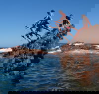 Hillocks Drive - Accommodation Cooktown