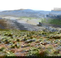 Horseshoe Rim 4WD Adventure Track - Accommodation Cooktown