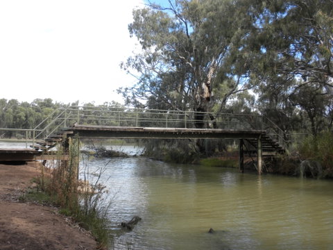 Junction Island Nature Reserve, Canoe Tree And Walking Track - Accommodation Cooktown 0