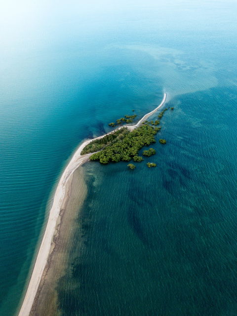 King Island Walk - Accommodation Cooktown 1