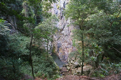 Kondalilla Falls Circuit, Kondalilla National Park - Accommodation Cooktown 0