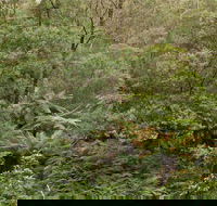 Lind National Park - Accommodation Cooktown