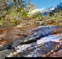 Little Dandahra Creek Walking Track - Accommodation Cooktown