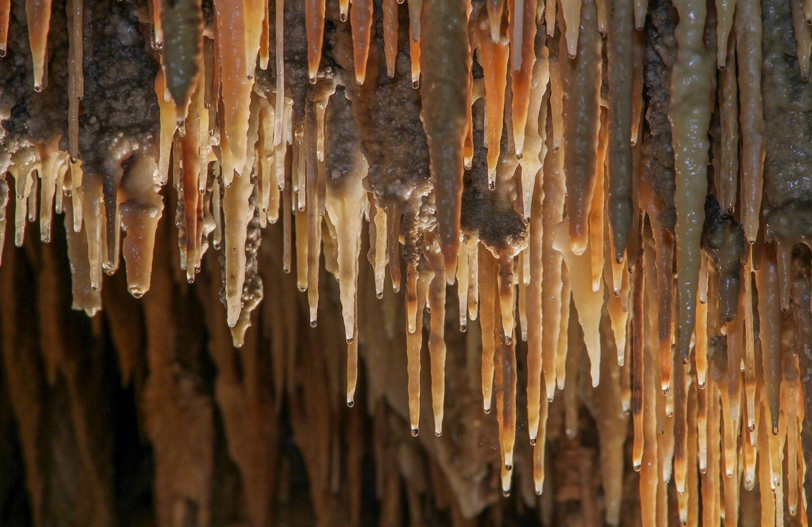  Accommodation Cooktown