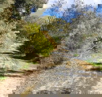 Naracoorte North Nature Park - Accommodation Cooktown