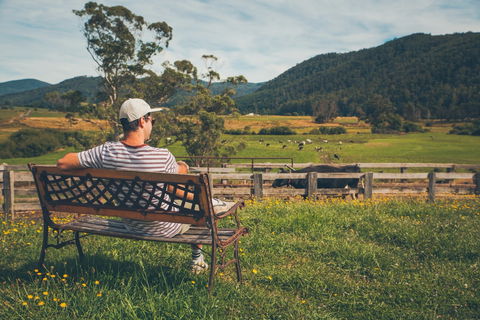 North - North East - Accommodation Cooktown 0