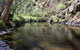 Onkaparinga River National Park - thumb 2