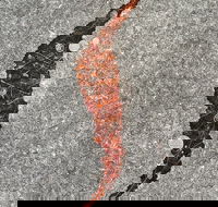 Red Poles Art Gallery - Accommodation Cooktown