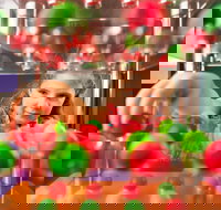 Sciencentre - Accommodation Cooktown