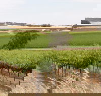 Smidge Wines Tasting Room - Accommodation Cooktown