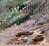 Turner Hill Mountain Bike Trail Murray - Accommodation Cooktown