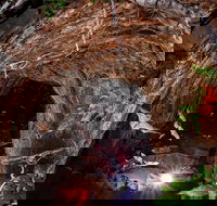 Undara Experience - Accommodation Cooktown