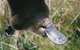 Warrawong Wildlife Sanctuary - thumb 0