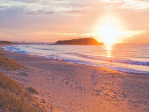 Warilla Beach: Shellharbour - Accommodation Cooktown 0