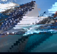 Whale Watching - Accommodation Cooktown