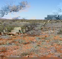 Winnecke Goldfield Cemetery - Accommodation Cooktown