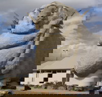 Big Merino - Accommodation Cooktown