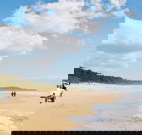 Bongil Bongil National Park