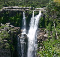 Carrington Falls - Accommodation Cooktown