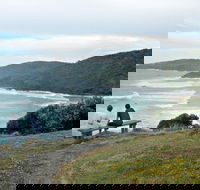 Connors Walking Track