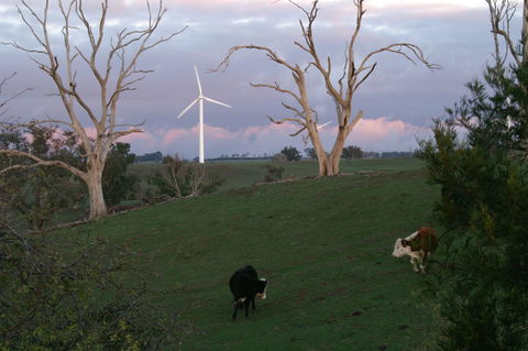 Crookwell Wind Farm - Accommodation Cooktown 1