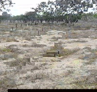 Culgoa Connellys Track - Accommodation Cooktown